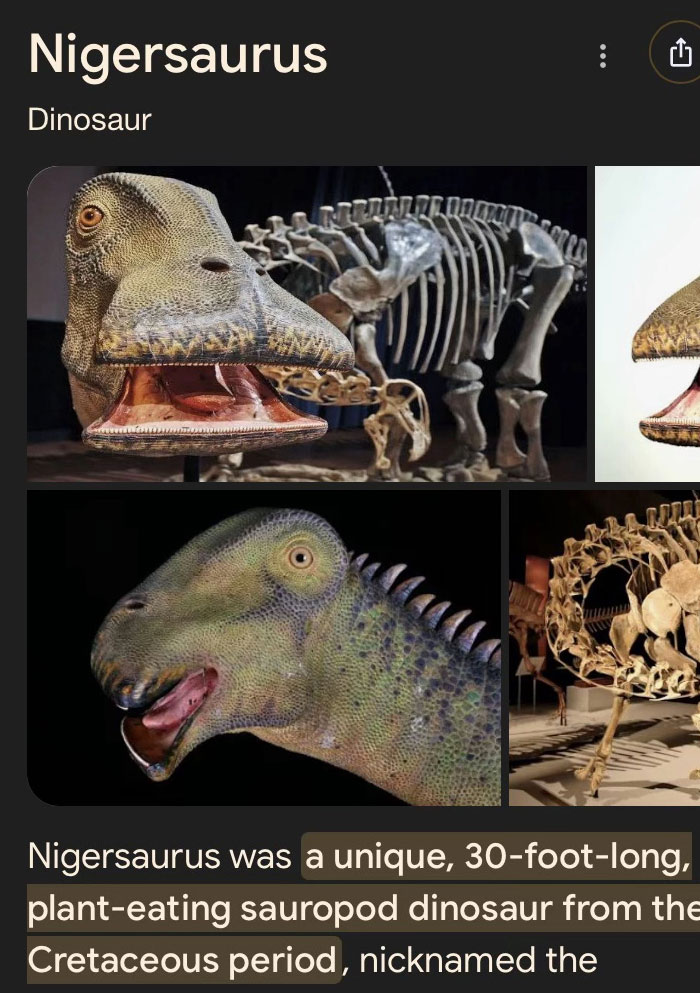 Wait, They Actually Named Animals This?!