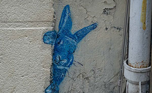 Wait Till You See These Wild Street Art Pics!