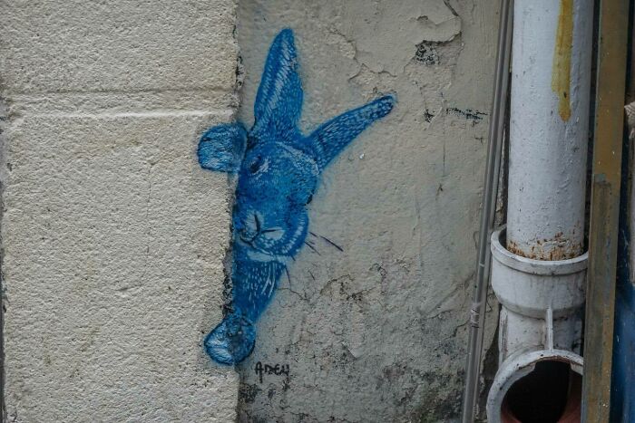 Wait Till You See These Wild Street Art Pics!