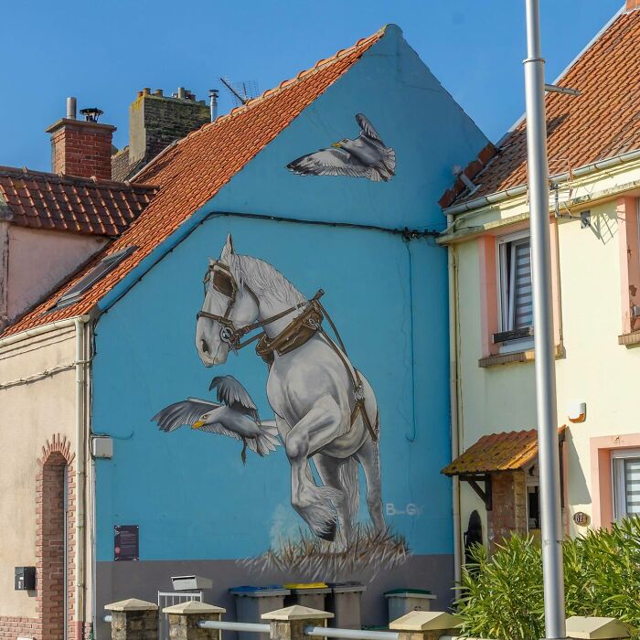 Wait Till You See These Wild Street Art Pics!