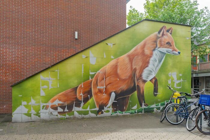 Wait Till You See These Wild Street Art Pics!