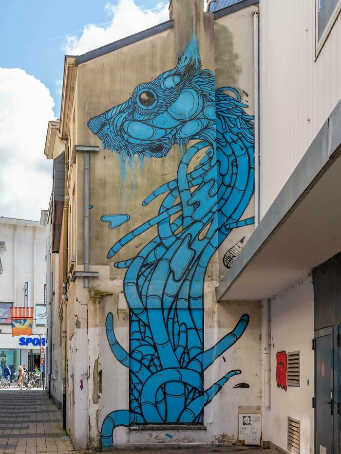 Wait Till You See These Wild Street Art Pics!