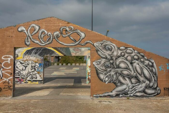 Wait Till You See These Wild Street Art Pics!