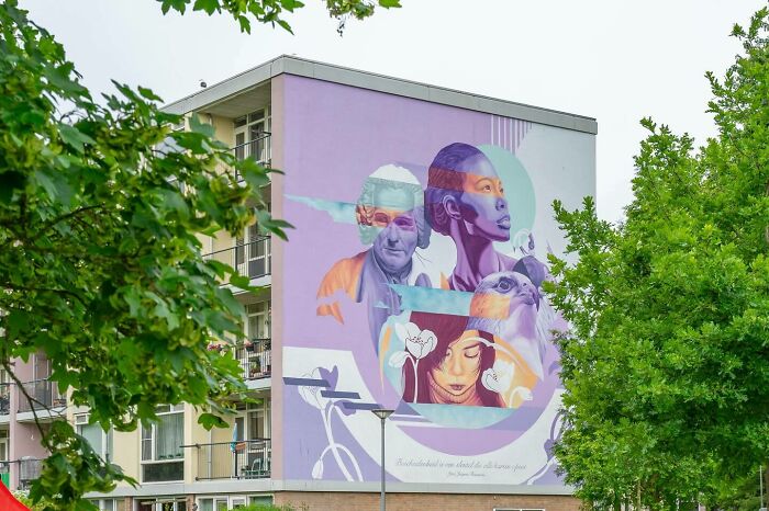 Wait Till You See These Wild Street Art Pics!