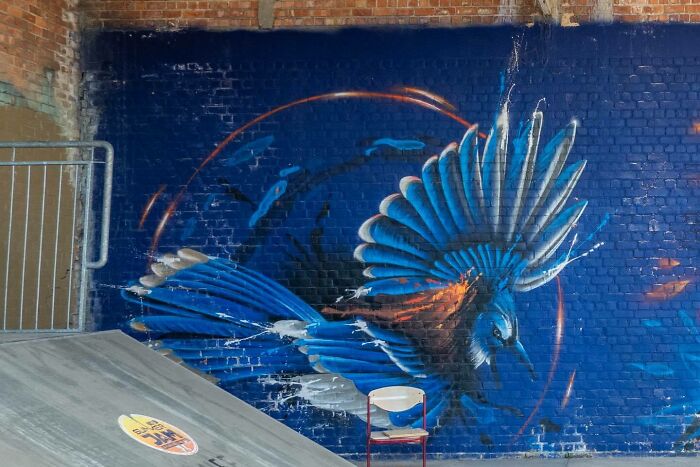 Wait Till You See These Wild Street Art Pics!