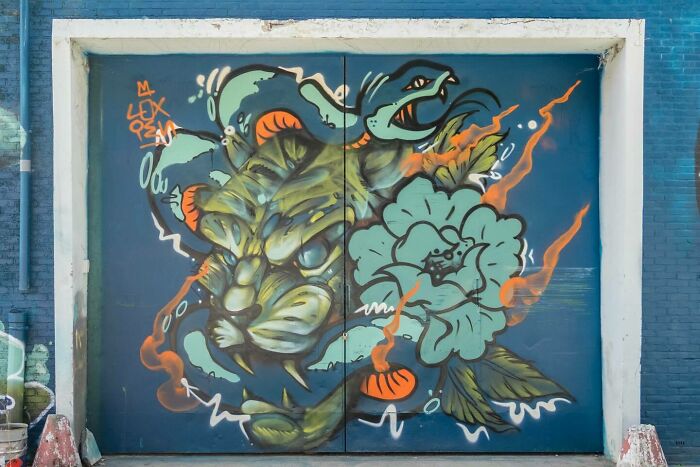 Wait Till You See These Wild Street Art Pics!