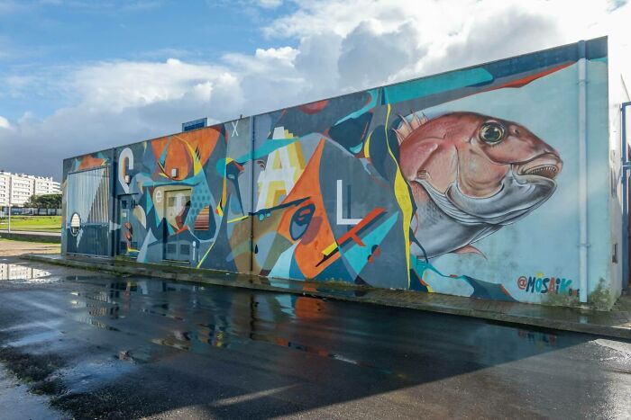 Wait Till You See These Wild Street Art Pics!