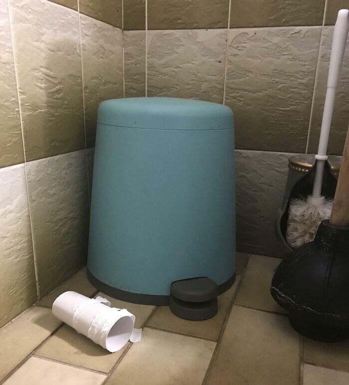 Lazy Father-In-Law Sometimes Forgets Standard Bathroom Etiquette (Flushing)