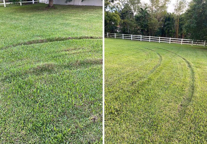 Father-In-Law Drives Taxi Style Through Front Lawn to Skip Backing Up