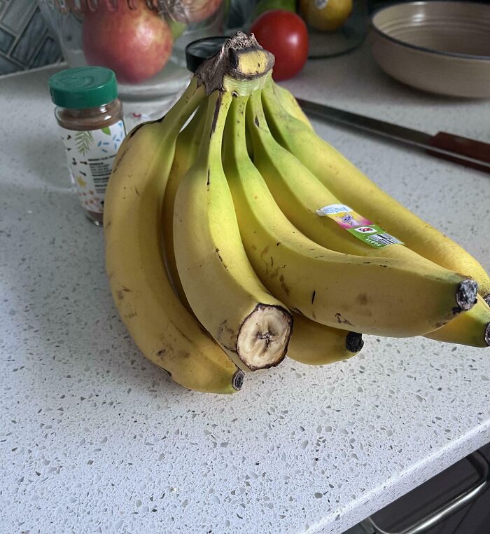 Wait, They Actually Did That?! 64 Hilariously Unhinged In-Law Moments