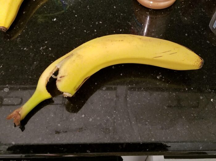 Wait, They Actually Did That?! 64 Hilariously Unhinged In-Law Moments