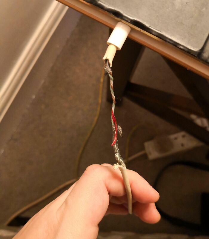 Wait, They Actually Did That?! 64 Hilariously Unhinged In-Law Moments