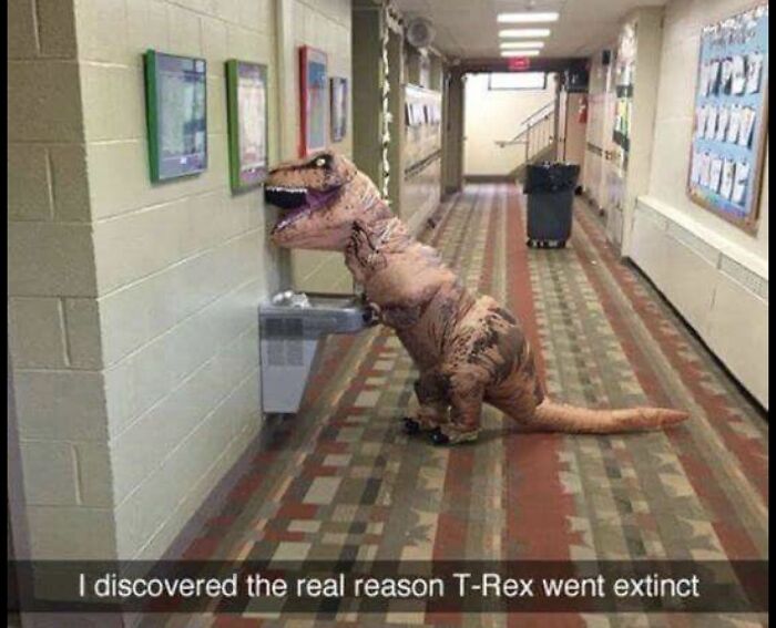 20 Weird Photos That Will Make You Do a Double Take