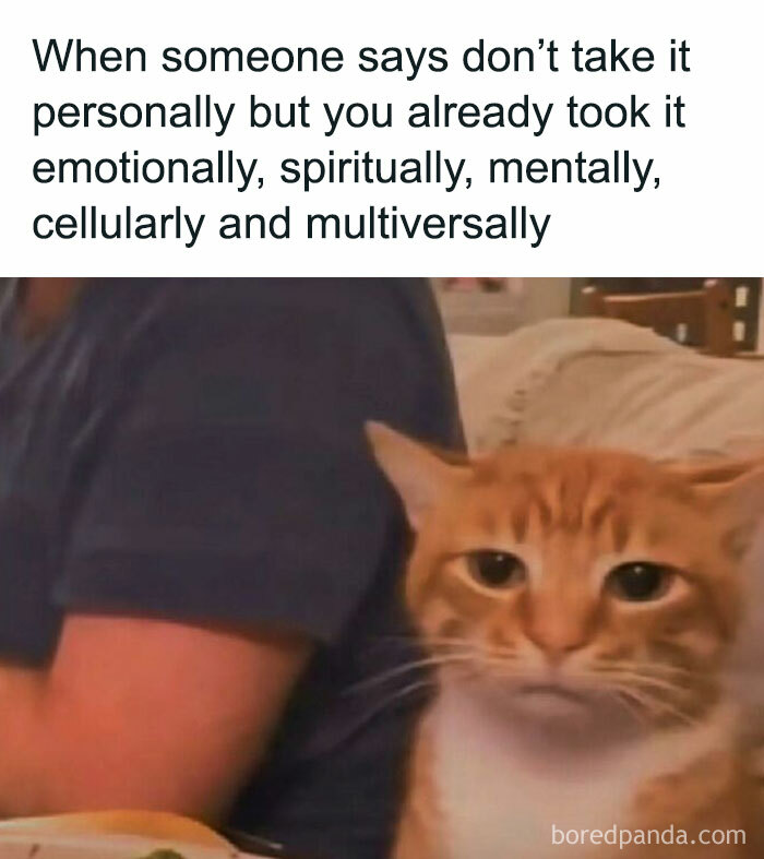 Wait, These Memes Are Scarily Accurate! 106 Hilarious Hits For When You're Exhausted