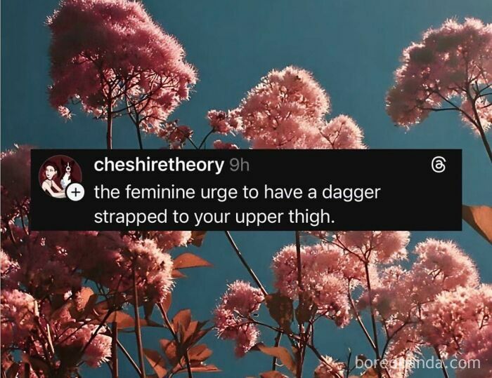 Wait, These Memes Are Scarily Accurate! 106 Hilarious Hits For When You're Exhausted