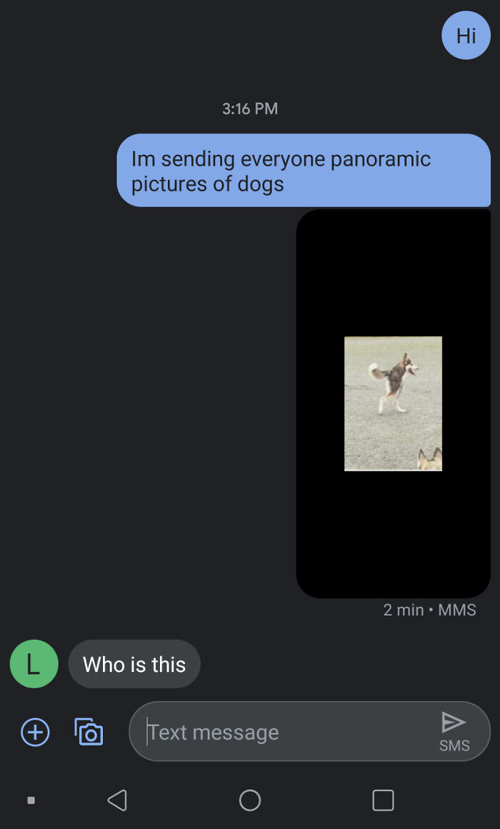 Cursed Dog Texts Are the Weirdest