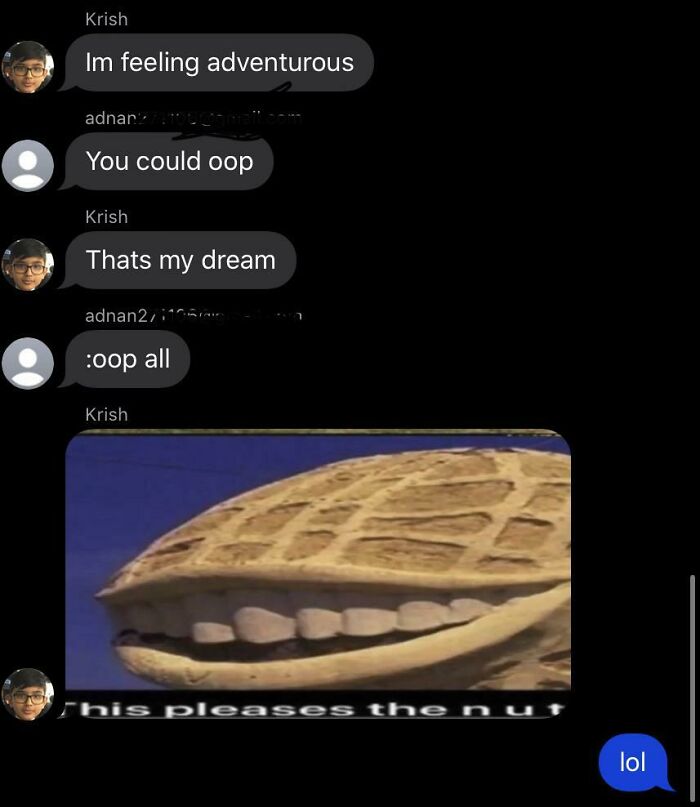 My Friends Have Their Sane Moments... And Then Not