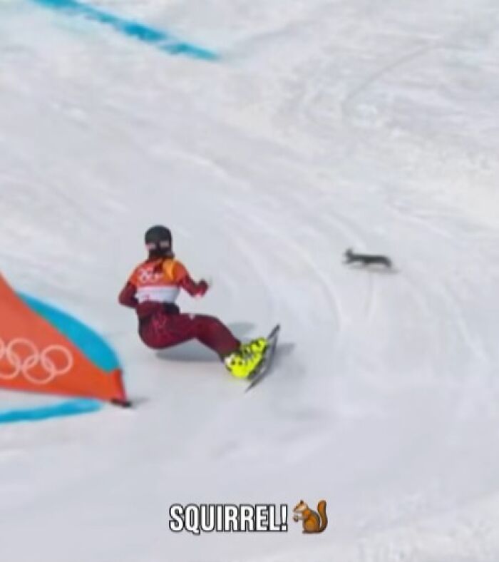 Daniela Ulbing: The Squirrel-Dodging Ski Pro Who Still Took Gold!