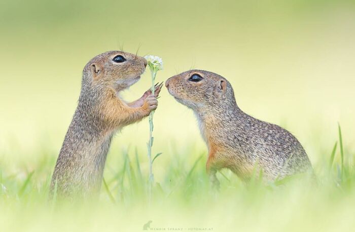 Get Ready! 50 Animal Photos That Are Seriously Awesome