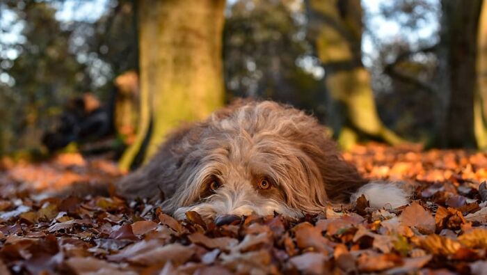 Get Ready! 50 Animal Photos That Are Seriously Awesome