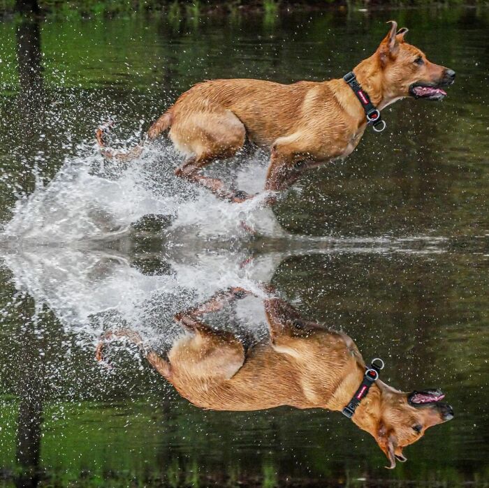 Get Ready! 50 Animal Photos That Are Seriously Awesome