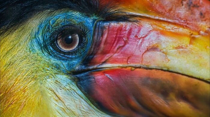 Get Ready! 50 Animal Photos That Are Seriously Awesome