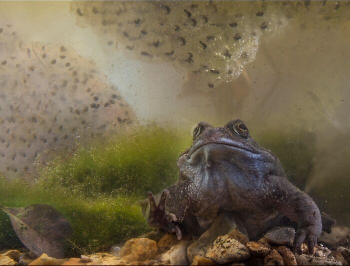 Get Ready! 50 Animal Photos That Are Seriously Awesome