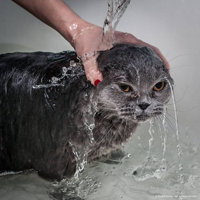 Get Ready! 50 Animal Photos That Are Seriously Awesome