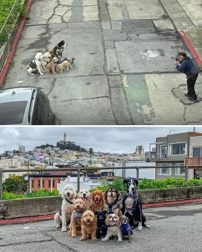 Get Ready for Some Seriously Silly Doggo Moments