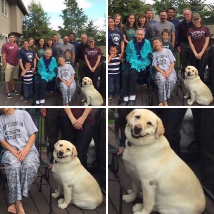 Get Ready for Some Seriously Silly Doggo Moments