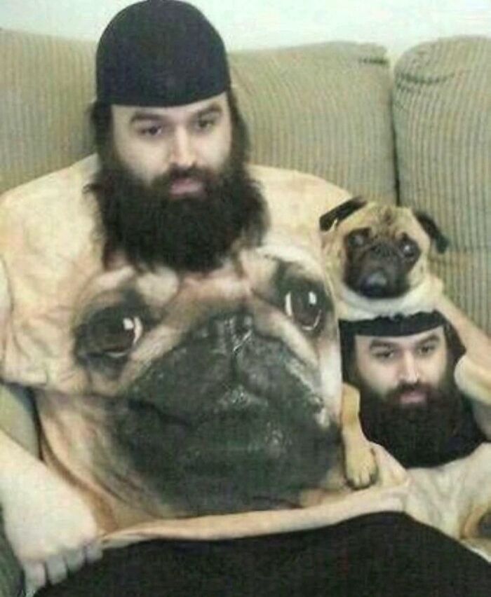 Get Ready for Some Seriously Silly Doggo Moments