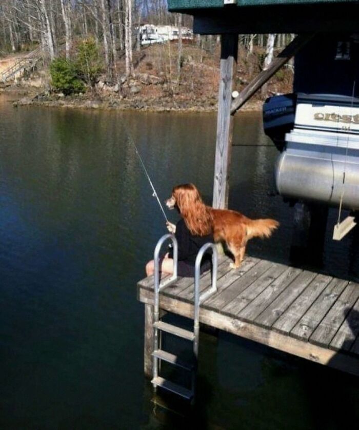 Get Ready for Some Seriously Silly Doggo Moments