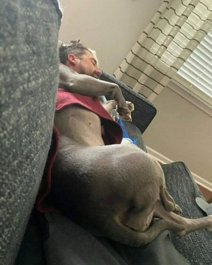 Get Ready for Some Seriously Silly Doggo Moments