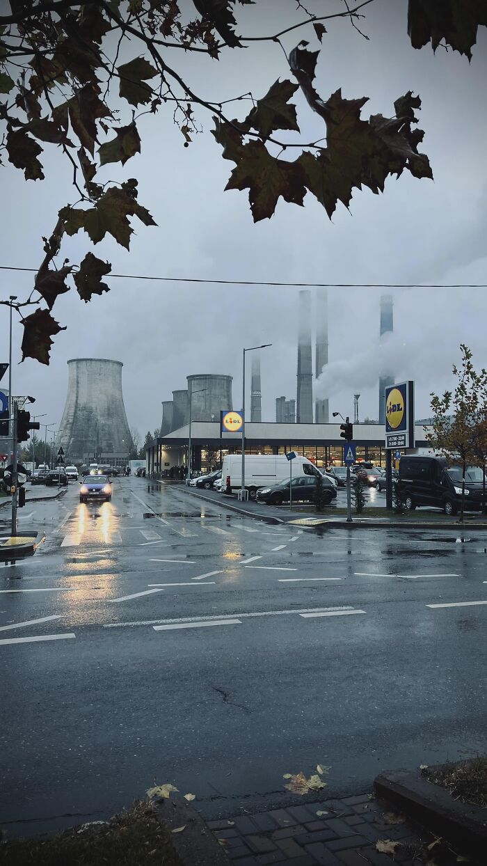 Bucharest’s Urban Jungle in Full Effect