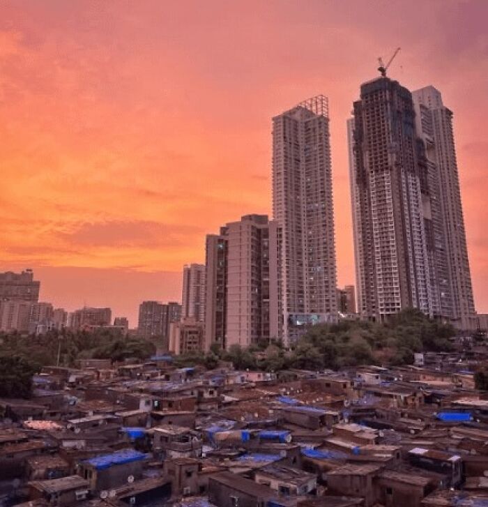 India in a Nutshell: Crowded, Chaotic, and Completely Real