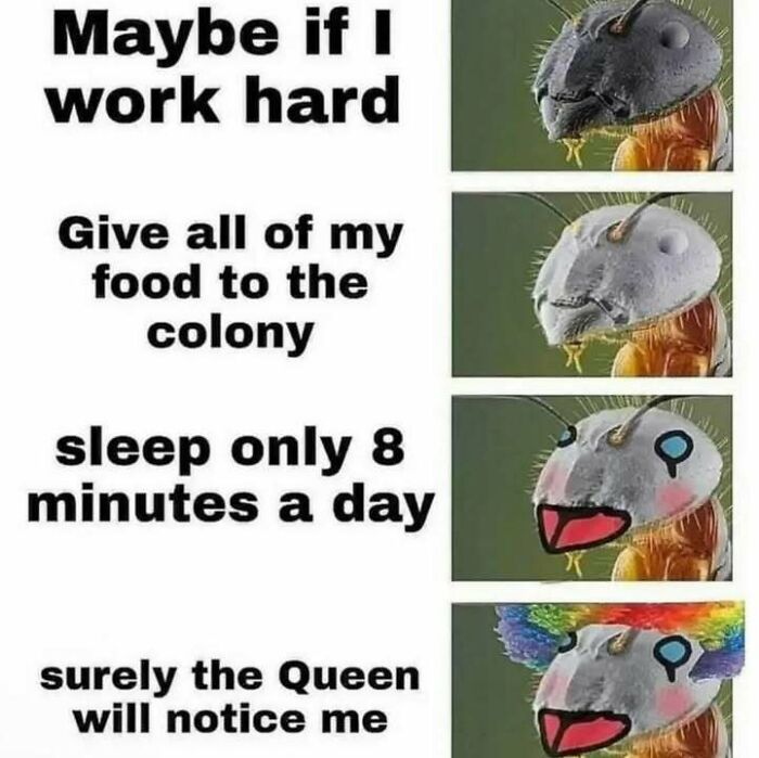 Let's Dive Into 50 Totally Bizarre Memes That'll Make You Go Huh?