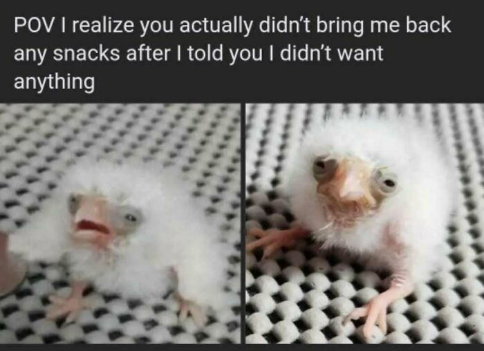 Let's Dive Into 50 Totally Bizarre Memes That'll Make You Go Huh?