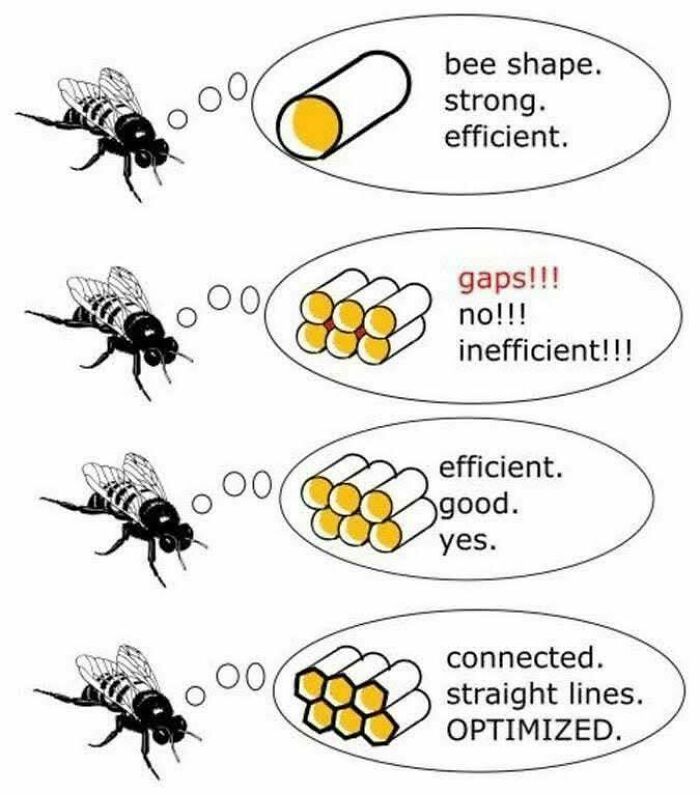 Let's Dive Into 50 Totally Bizarre Memes That'll Make You Go Huh?