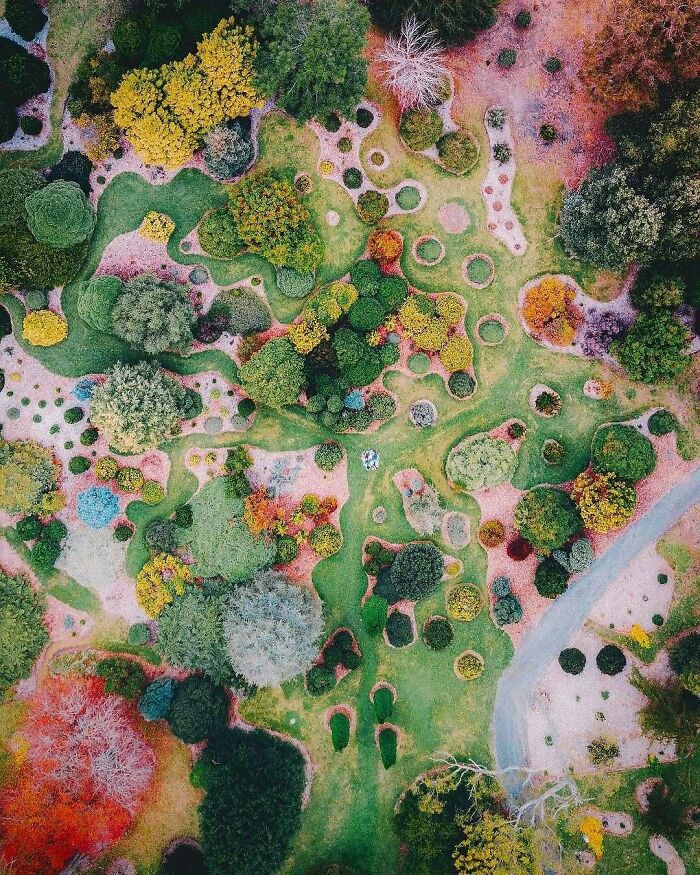 Bird’s Eye View of Mount Lofty's Botanical Gardens, Australia