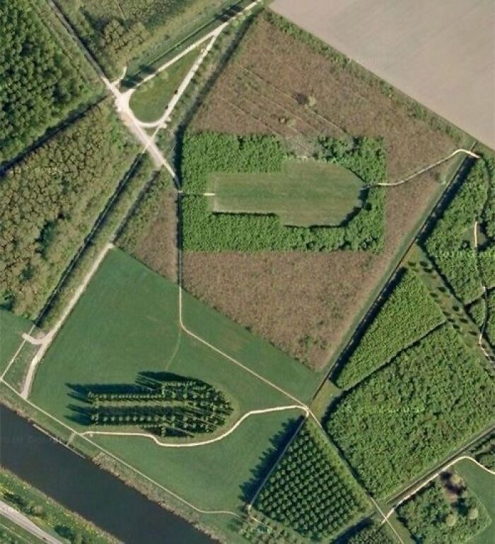 De Groene Kathedraal – A Tree Cathedral You Can Walk Through