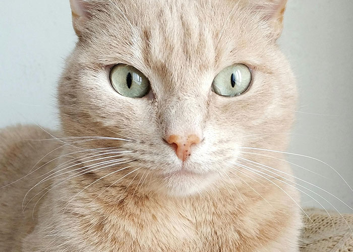 Here Are 20 Epic Oops Moments That’ll Totally Crack You Up