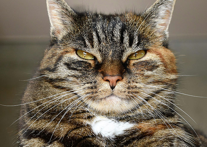 Here Are 20 Epic Oops Moments That’ll Totally Crack You Up