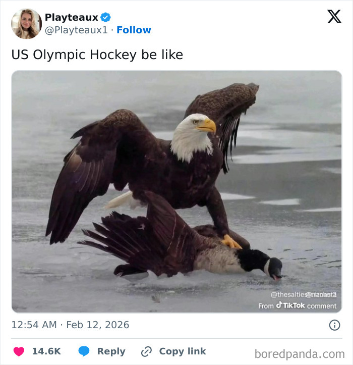 The Funniest Winter Olympics Tweets That'll Make You Laugh Out Loud (55 Posts)