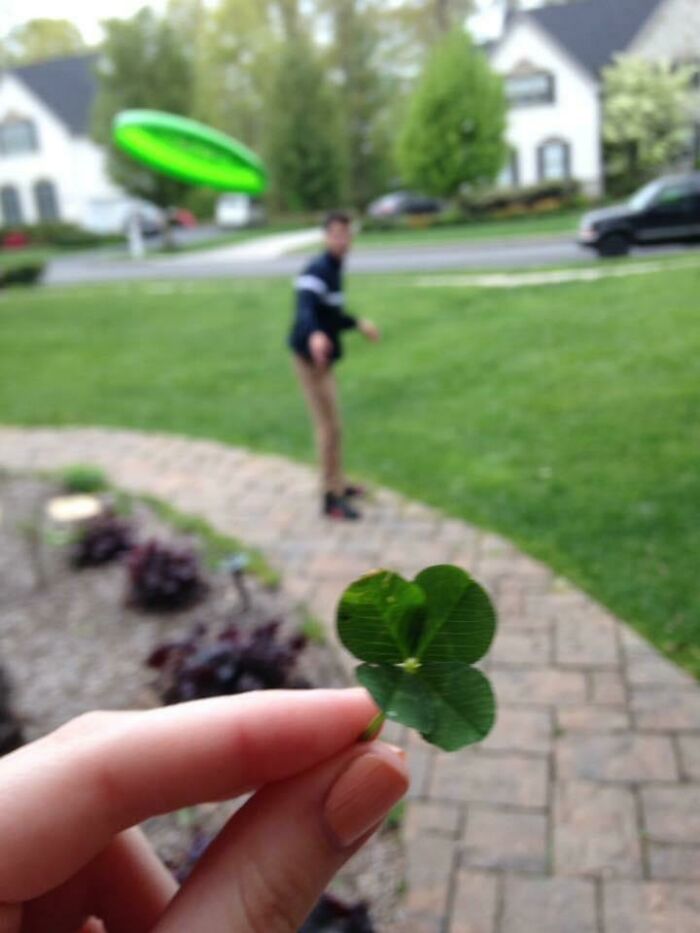Lucky Clover Found (A Year Ago!)
