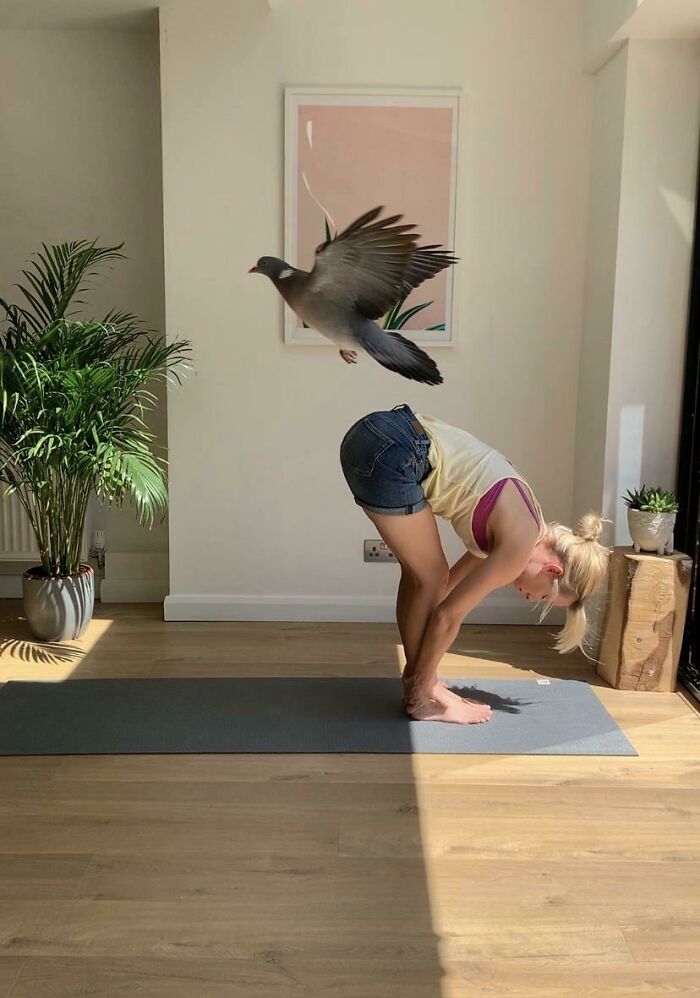 Unexpected Yoga Guest