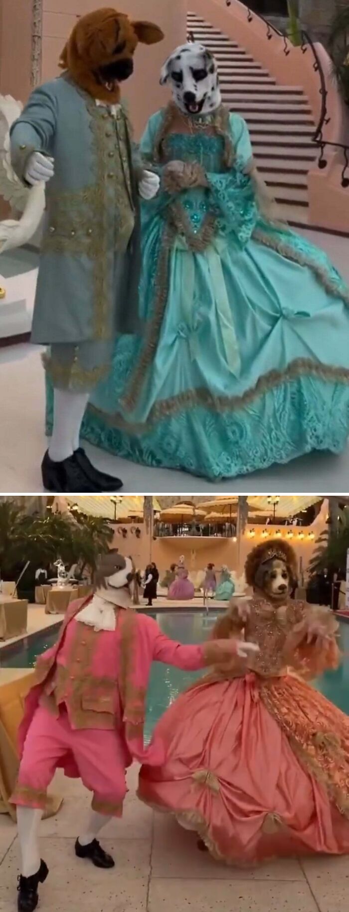 Wait, They Actually Snapped These Cringe Pics and We Can't Look Away!