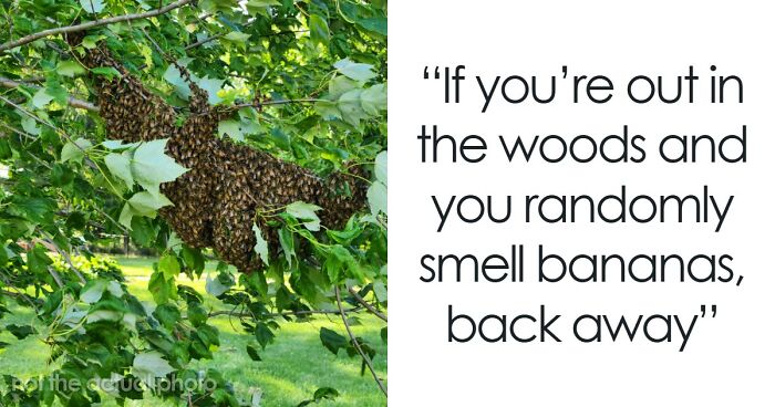 Wait, People Actually Ranked Weird Danger Smells?!