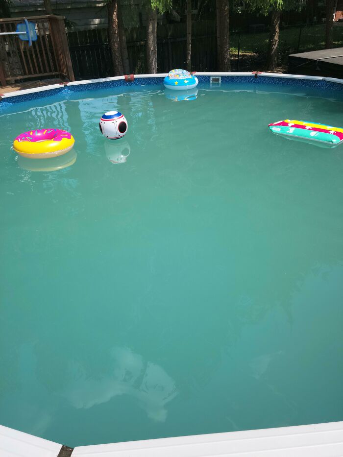 Wait, People Actually Ranked Weird Danger Smells?!