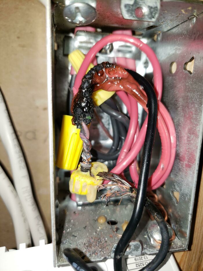 Wait, People Actually Ranked Weird Danger Smells?!