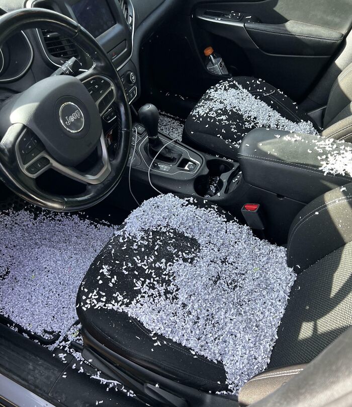 When “Just a Prank” Means Filling My Car with Shredder Confetti